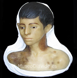 Figura del Mes: Nº 24
